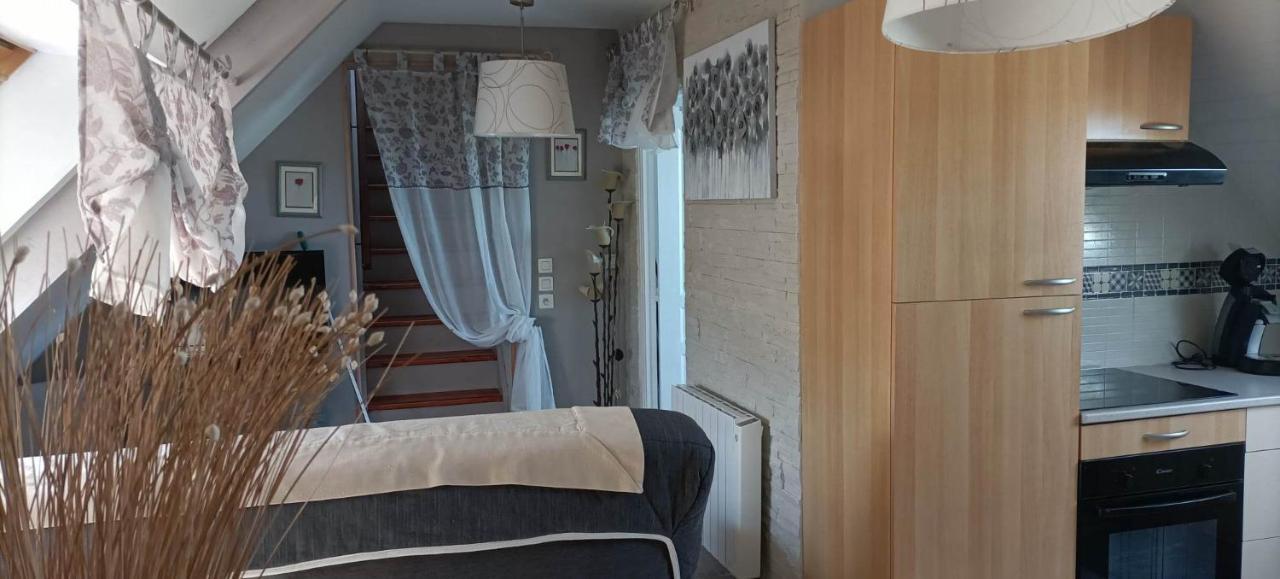 Le Cosy Apartment Lanvallay Bagian luar foto